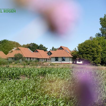 Jugendtours-Feriendorf Ummanz Екстер'єр фото