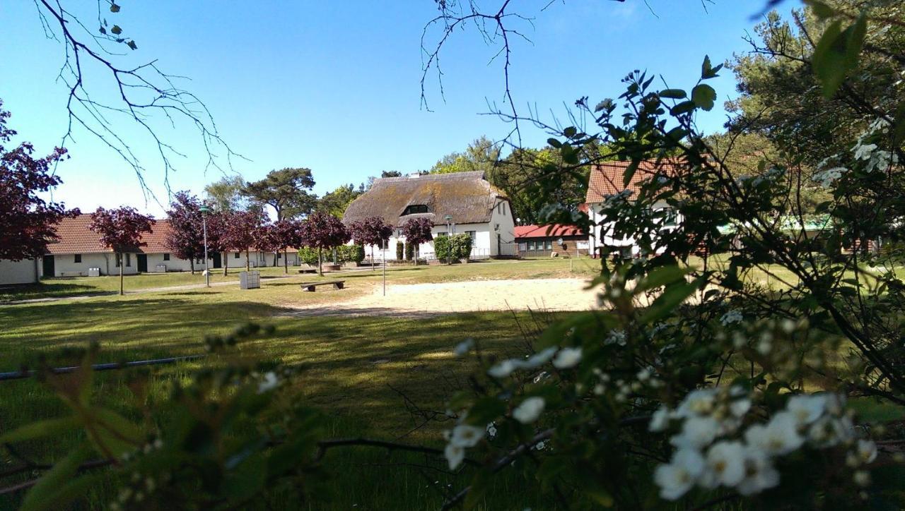 Jugendtours-Feriendorf Ummanz Екстер'єр фото