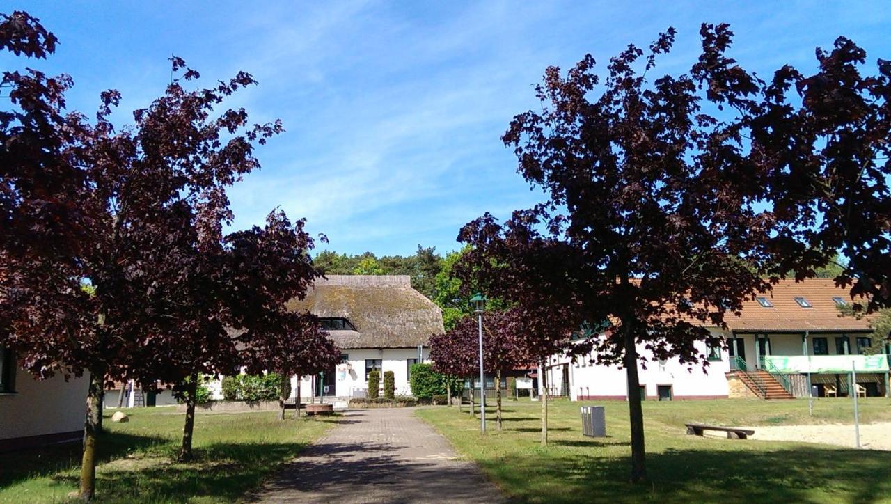 Jugendtours-Feriendorf Ummanz Екстер'єр фото