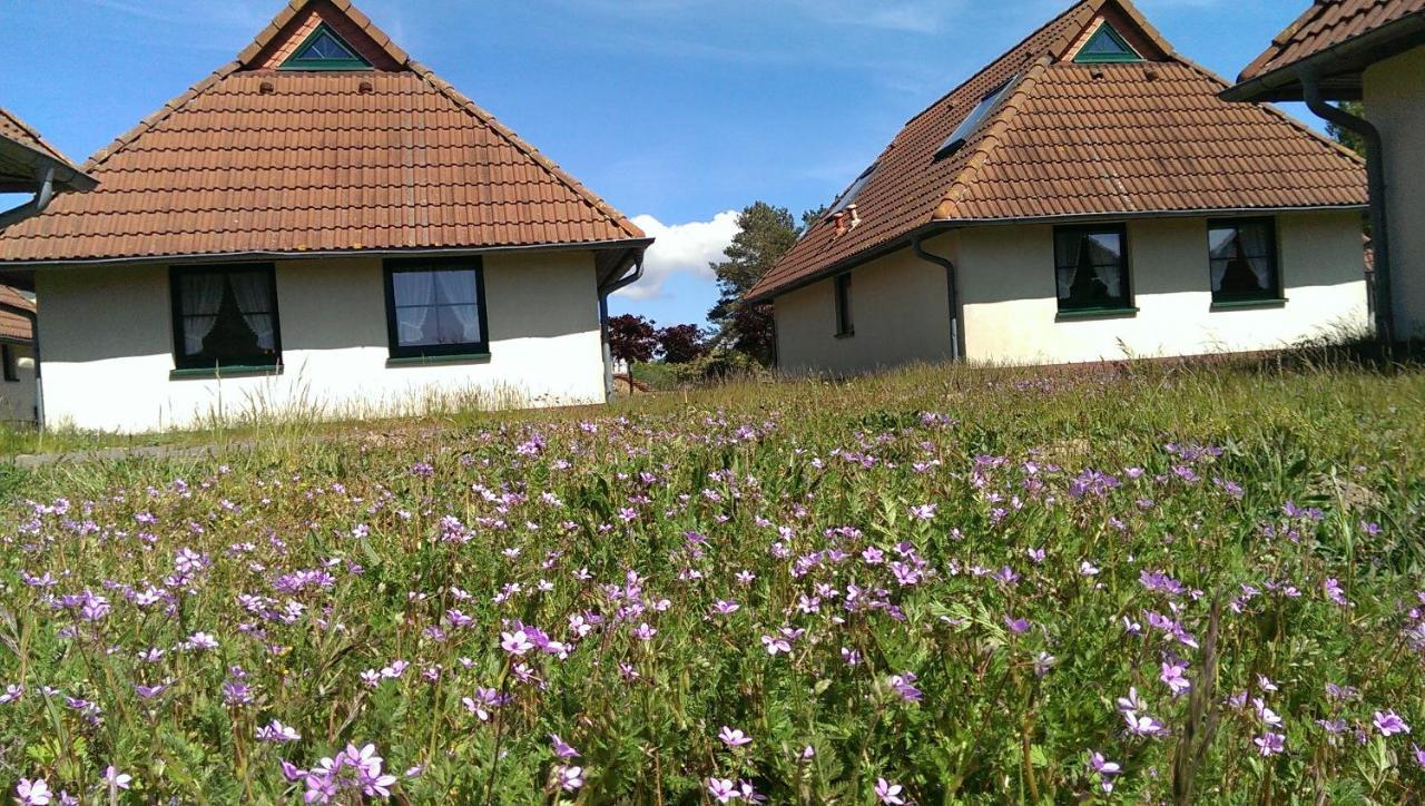 Jugendtours-Feriendorf Ummanz Екстер'єр фото