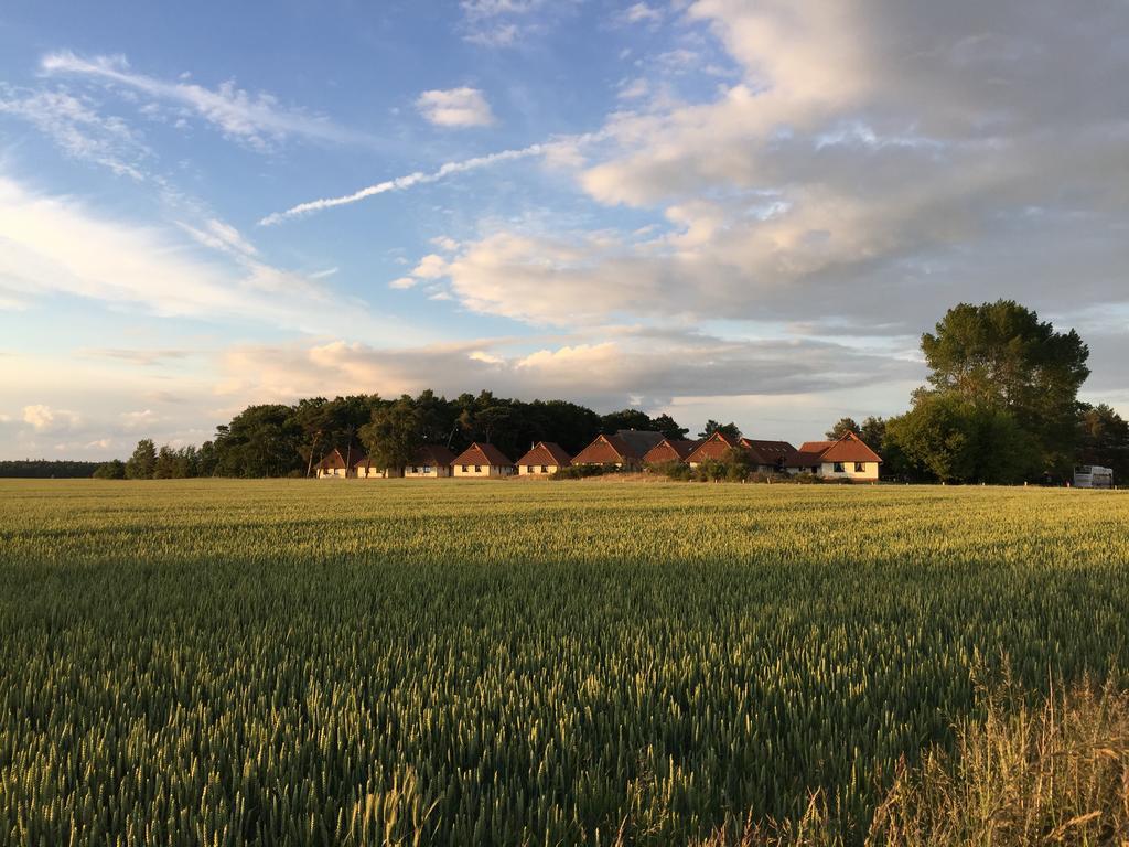 Jugendtours-Feriendorf Ummanz Екстер'єр фото